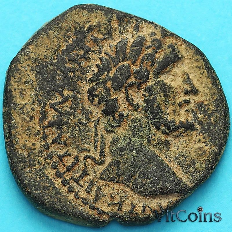 Монета Рим, провинция Сирия, асс, Антоний Пий 138-161 год.