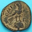 Монета Рим, провинция Сирия, асс, Антоний Пий 138-161 год.