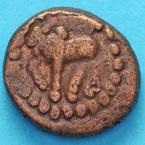 Древняя Индия, династия Нагас Падмавати 1/2 какини 200-340 год №3