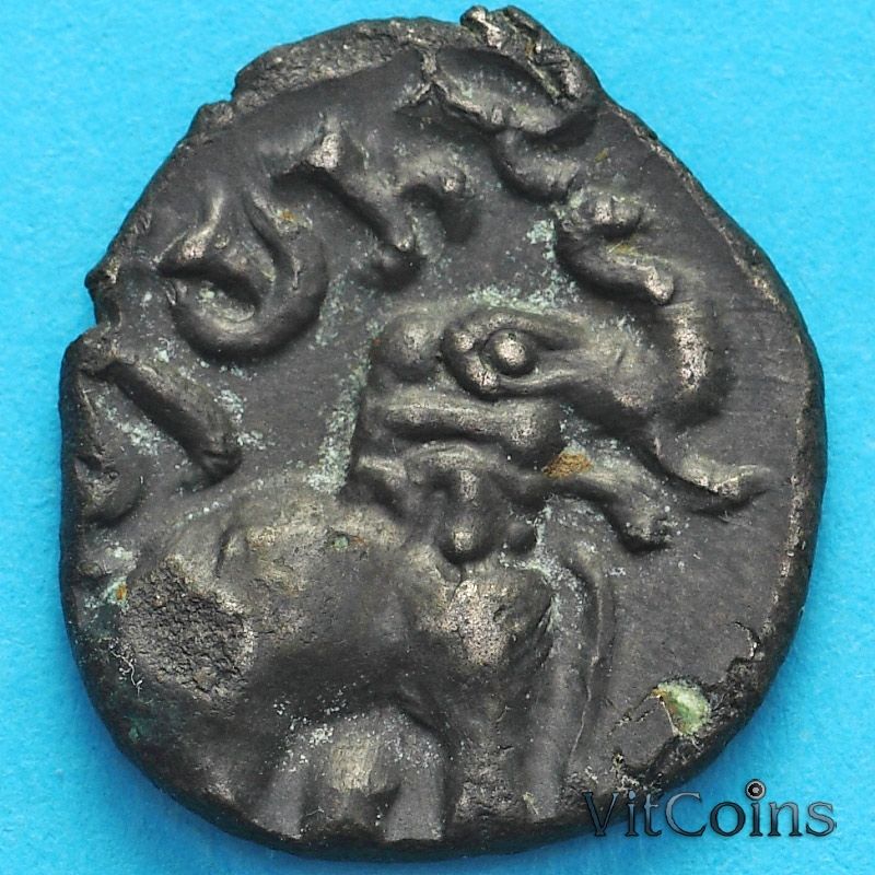 Древняя Индия, Империя Сатавахана 1 каршапана 85-107 год  №4
