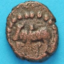 Древняя Индия, династия Нагас Падмавати 1/2 какини 335-340 год №10