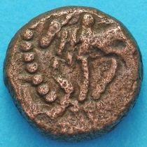 Древняя Индия, династия Нагас Падмавати 1/2 какини 335-340 год №7