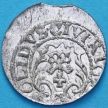 Монета Ливония солид 1610-1620 год. Сигизмунд III. №2