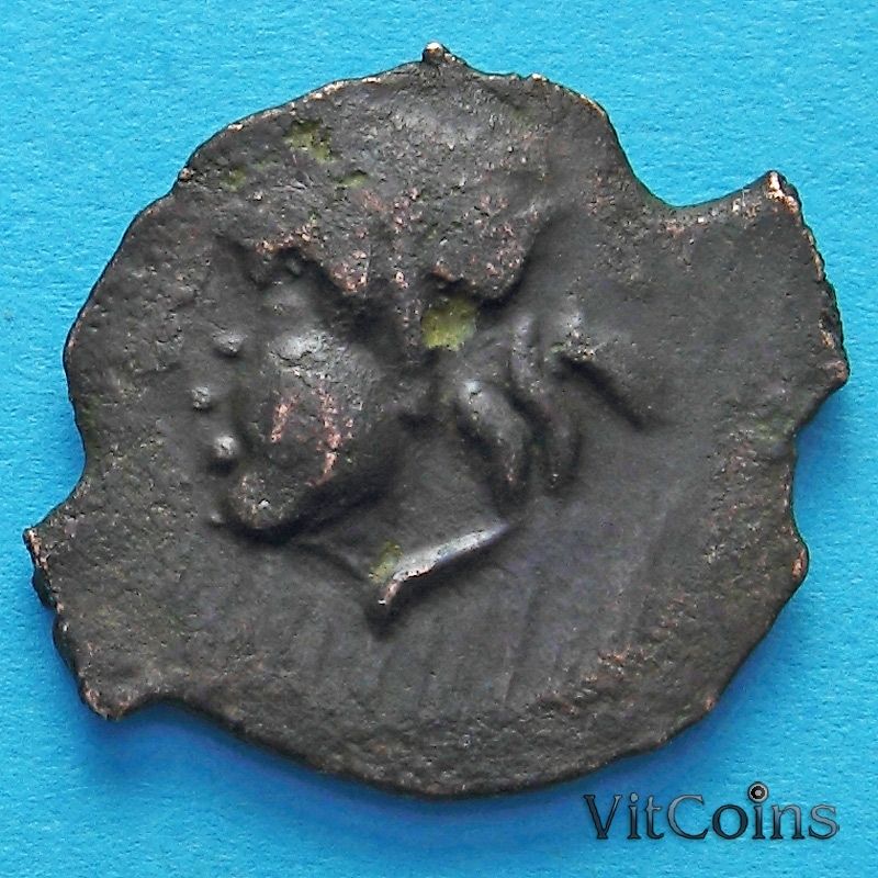 Монета Боспора, обол 310-314 год до нэ. Пантикапей. №6