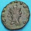 Монета Римская империя, Галлиен,  антониниан, 260-268 год. Пегас.