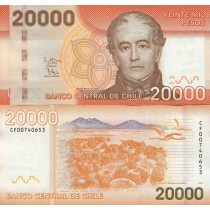 Чили 20000 песо 2013 год.