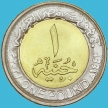 Монета Египет 1 фунт 2021 год. Медики. Борьба с Covid