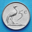 Монета ЮАР 5 центов 1970-1989 год.