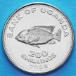Монета Уганды 200 шиллингов 2008 год. Цихлида.