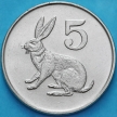 Монета Зимбабве 5 центов 1980 год. Заяц.