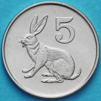 Зимбабве 5 центов 1995-1999 год. Заяц.