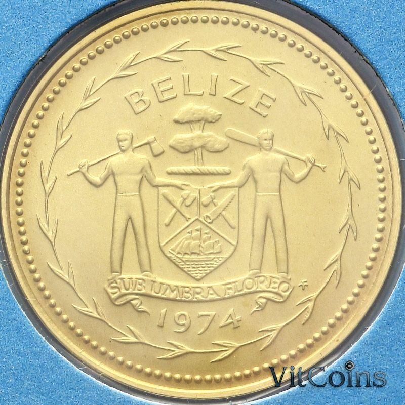 Монета Белиз 5 центов 1974 год. Мухоловка BU Монета Белиз 5 центов 1974 год. Мухоловка BU