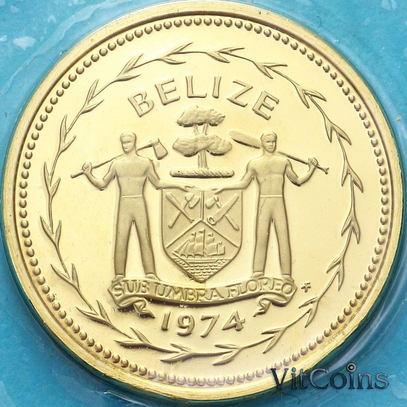 Монета Белиз 5 центов 1974 год. Мухоловка Proof Монета Белиз 5 центов 1974 год. Мухоловка Proof
