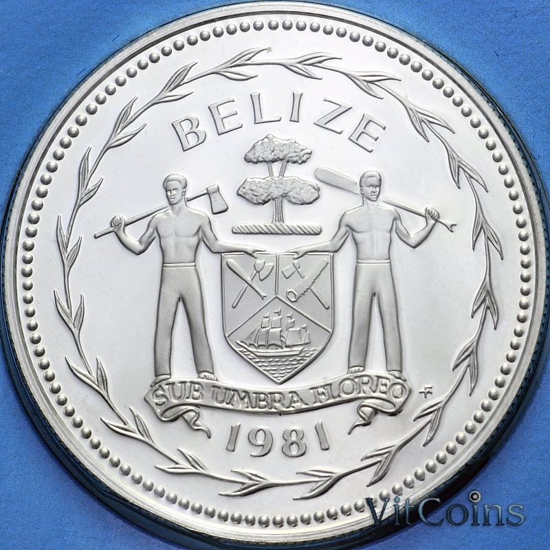 Монета Белиз 1 доллар 1981 год. Алый ара. Proof