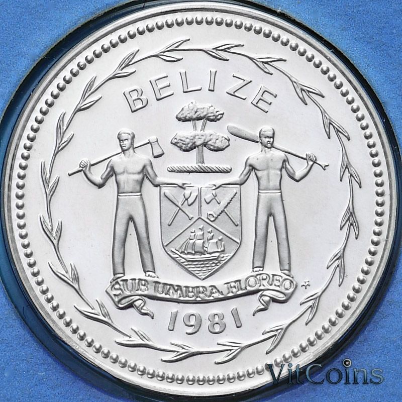 Монета Белиз 5 центов 1981 год. Серебро. Пруф Монета Белиз 5 центов 1981 год. Серебро. Пруф