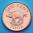 Монета Бермудских островов 1 цент 2008 год. Дикий кабан.