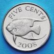 Монета Бермудских островов 5 центов 2008 год.  Морской ангел.