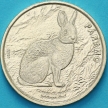 Монета Коста Рика 50 колон 2023 год. Горный кролик Парамо