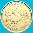 Монета Канада 1 доллар 2025 год. Медвежонок. Рождество