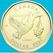 Монета Канада 1 доллар 2026 год. Казарки. Детский подарок.