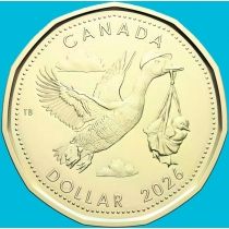 Канада 1 доллар 2026 год. Казарки. Детский подарок.