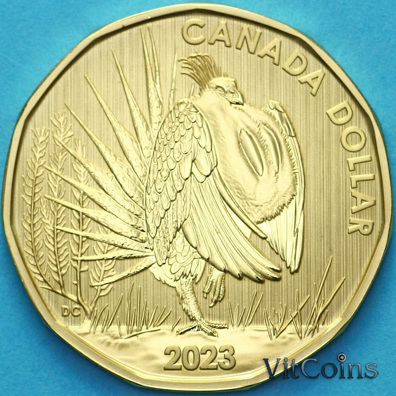 Монета  Канада 1 доллар 2023 год. Матовая. Пруф. Шалфейный тетерев