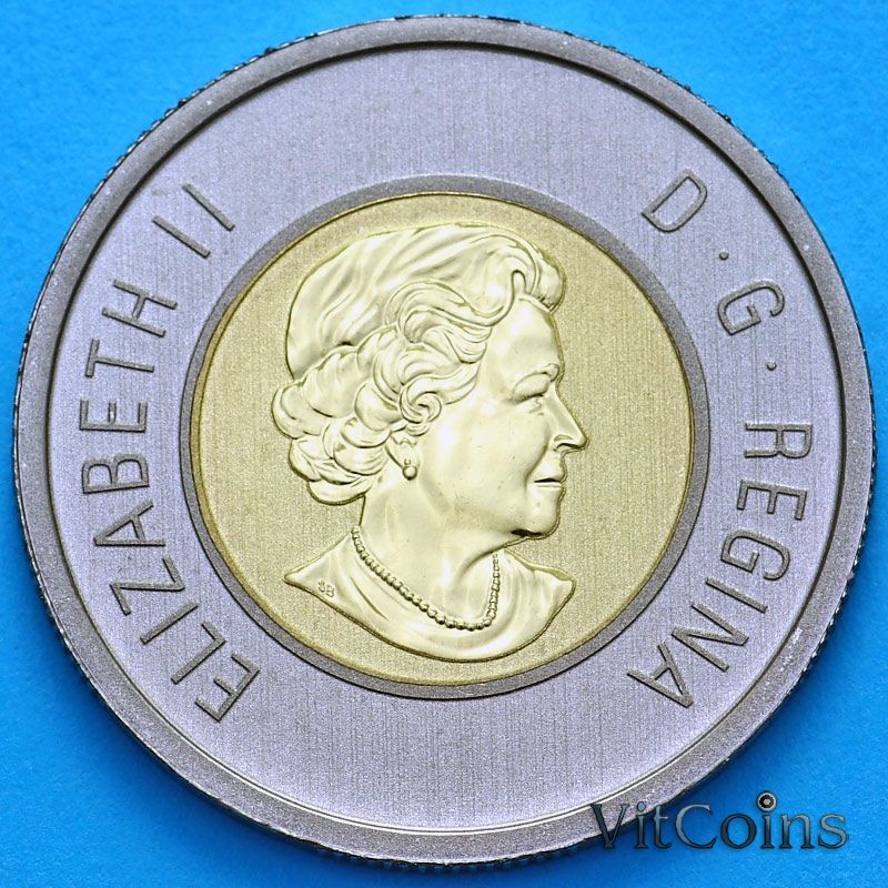 Монета Канада 2 доллара 2013 год. Пруф. Матовая. Медвежата.