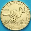Монета  Канада 1 доллар 2022 год. Матовая. Пруф. Американский корсак