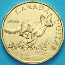 Канада 1 доллар 2022 год. Матовая. Пруф. Американский корсак