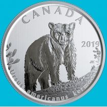 Канада 50 центов 2019 год. Матовая. Пруф. Кермодский медведь