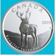 Монета Канада 50 центов 2019 год. Матовая. Пруф. Северный олень