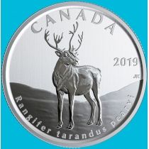 Канада 50 центов 2019 год. Матовая. Пруф. Северный олень