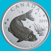 Канада 50 центов 2019 год. Матовая. Пруф. Моксостома медная