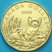 Монета  Канада 1 доллар 2020 год. Матовая. Пруф. Американский хорёк