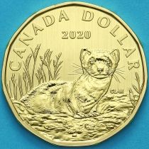 Канада 1 доллар 2020 год. Матовая. Пруф. Американский хорёк