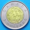 Монета Канада 2 доллара 2014 год. Пруф. Матовая. Зайчата.