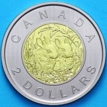 Канада 2 доллара 2014 год. Пруф. Матовая. Зайчата.