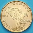 Монета  Канада 1 доллар 2014 год. Железистый ястреб. Матовая. Пруф.
