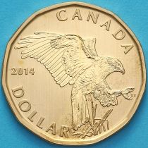 Канада 1 доллар 2014 год. Железистый ястреб. Матовая. Пруф.