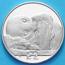 Южная Георгия и Южные Сэндвичевы Острова 2 фунта 2013 год. Тюлень