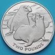 Монета Южной Георгии и Южных Сэндвичевых Островов 2 фунта 2017 год. Морские слоны.