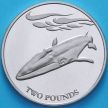 Монета Южной Георгии и Южных Сэндвичевых Островов 2 фунта 2021 год. Финвал