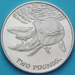 Монета Южной Георгии и Южных Сэндвичевых Островов 2 фунта 2014 год. Морская свинья.