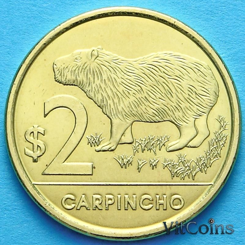 Монета Уругвай 2 песо 2011 год. Капибара.
