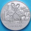 Монета Британские Виргинские острова 1 доллар 2021 год. Красный фламинго.