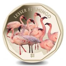 Британские Виргинские острова 1 доллар 2019 год. Малый фламинго