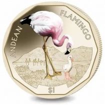 Британские Виргинские острова 1 доллар 2019 год. Андский фламинго