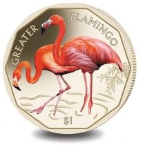 Британские Виргинские острова 1 доллар 2019 год. Большой фламинго