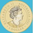 Монета Австралия 1 доллар 2021 год. Спящие детеныши. Вомбат