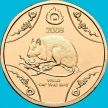 Монета Австралия 1 доллар 2008 год. Год крысы. Буклет